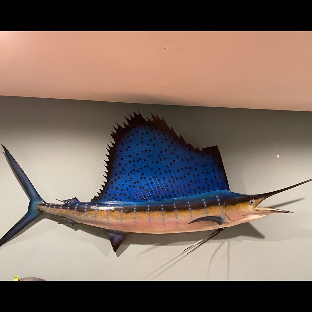 A reproduction of a blue Marlin fish. Who needs this awesome fish?